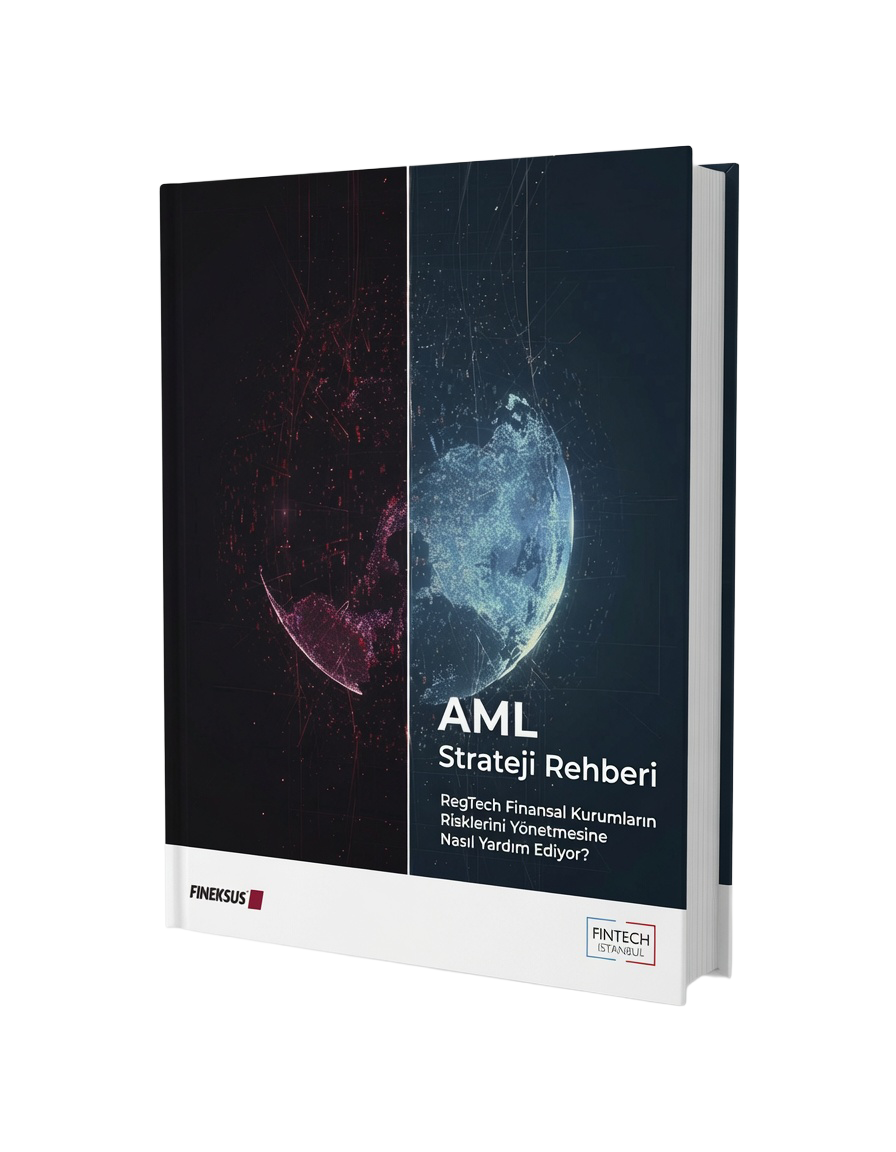 AML Strateji Rehberi kitap kapağı